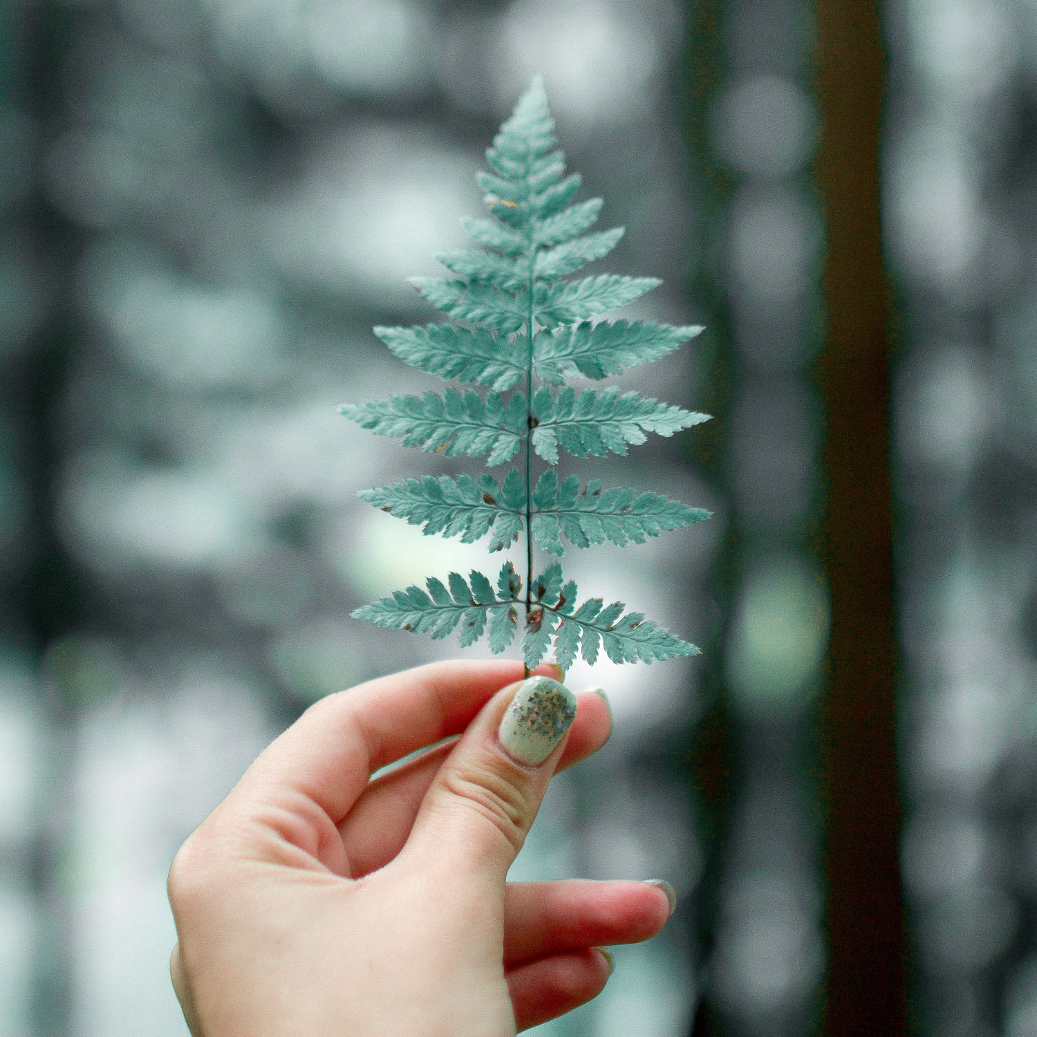 Buying Guide to UV and LED Nail Lamp