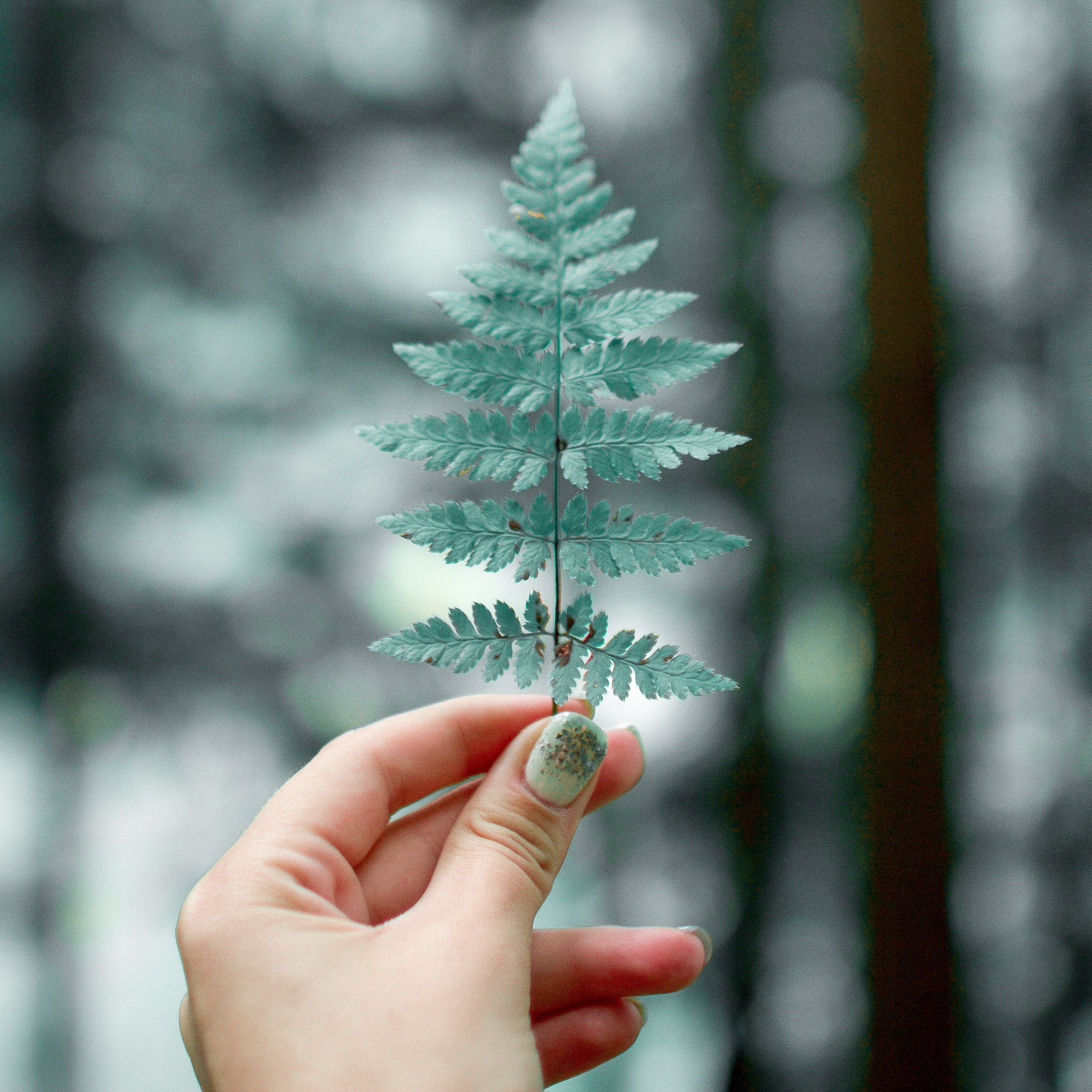 Buying Guide to UV and LED Nail Lamp