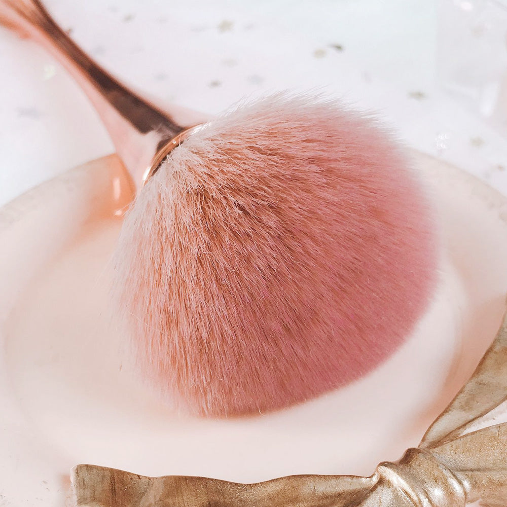 Lucky Bag-Dust Collector Special(US ONLY)