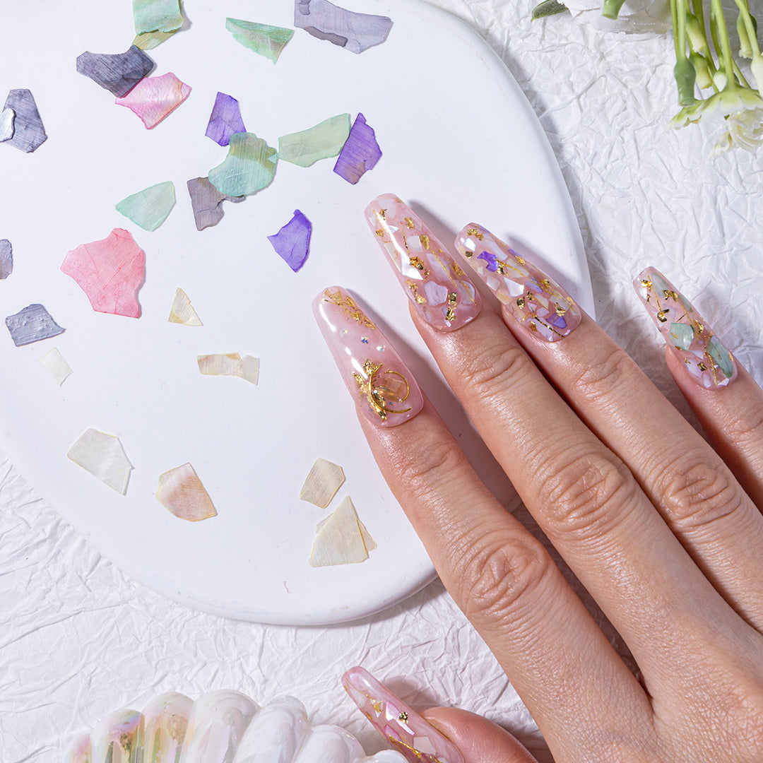 12-Color Mixed Shell Slice