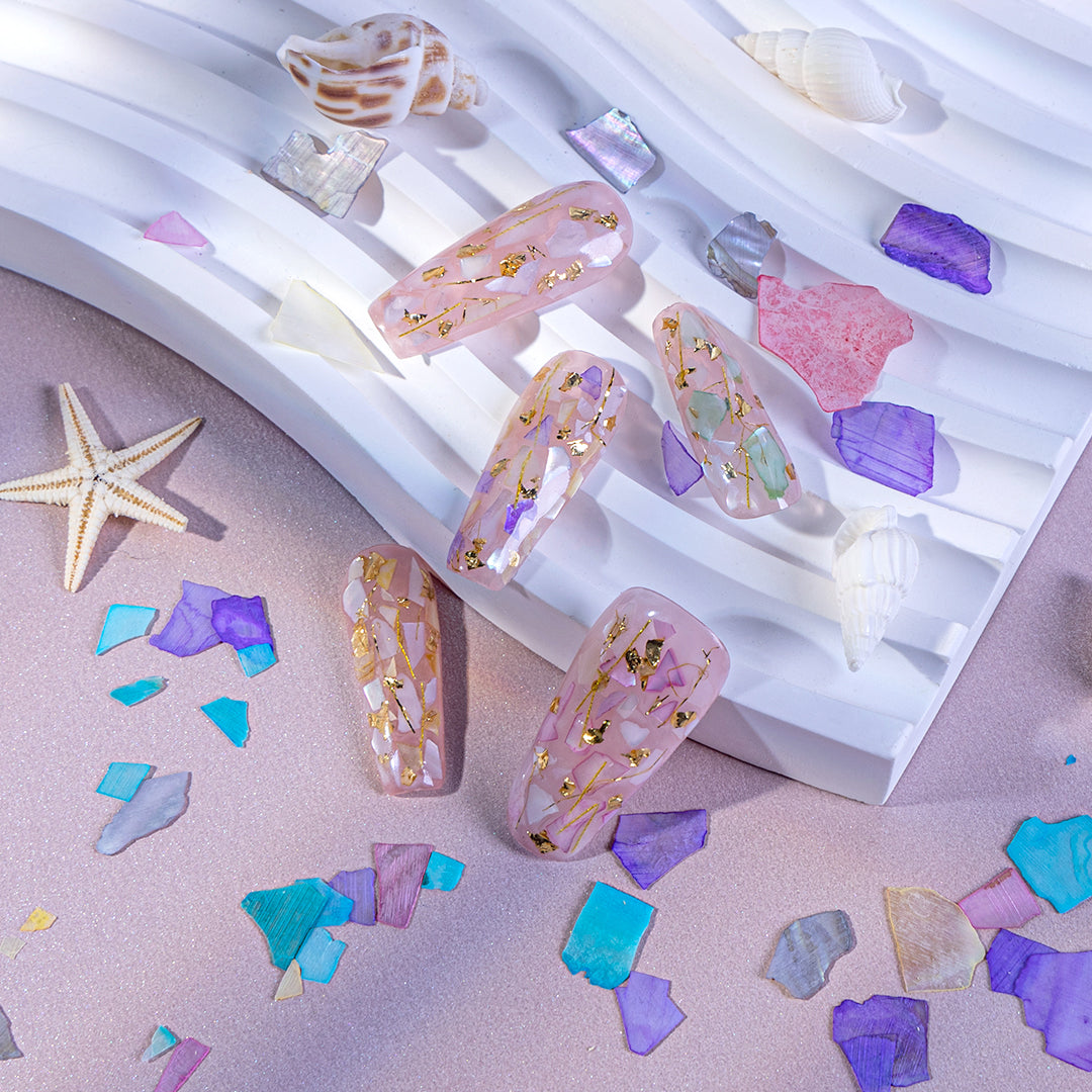12-Color Mixed Shell Slice